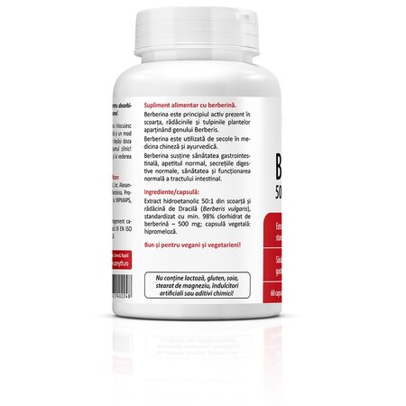 Berberine, 500 mg, 60 capsule, Zenyth 699766