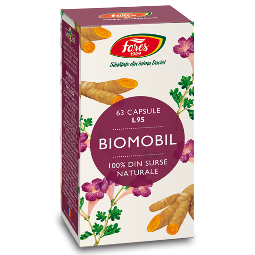 Biomobil, L95, 63 capsule, Fares