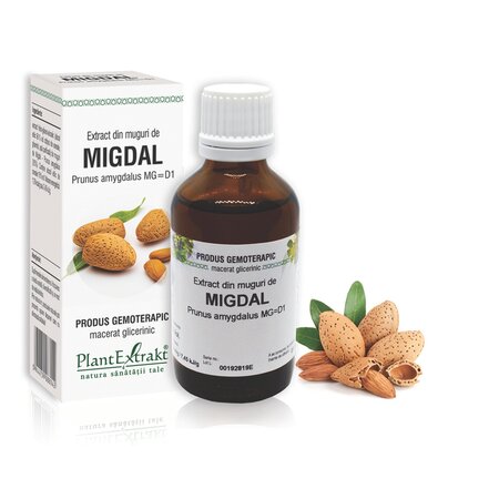 Extract din muguri de Migdal, 50 ml, Plant Extrakt 737178