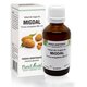 Extract din muguri de Migdal, 50 ml, Plant Extrakt 737177