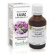 Extract din muguri de Liliac, 50 ml, Plant Extrakt 737131