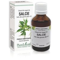 Extract din muguri de Salcie, 50 ml, Plant Extrakt