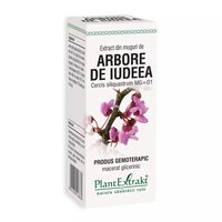 Extract din muguri de Arbore de Iudeea, 50 ml, Plant Extrakt