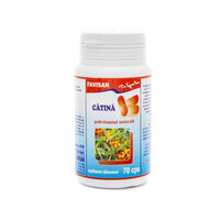 Catina, 70 capsule, Favisan