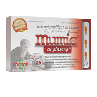 Extract purificat de rasina Mumie cu Ginseng, 30 capsule, Damar General Trading