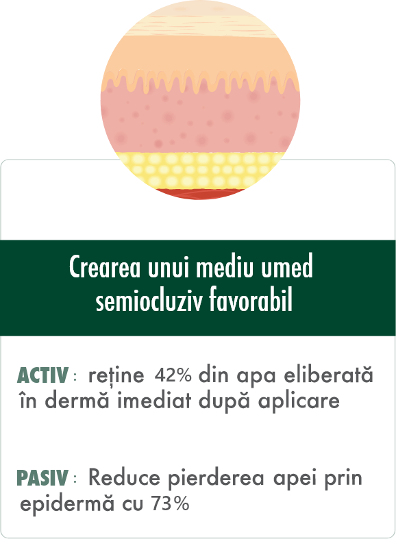 Crearea unui mediu umed
semiocluziv favorabil