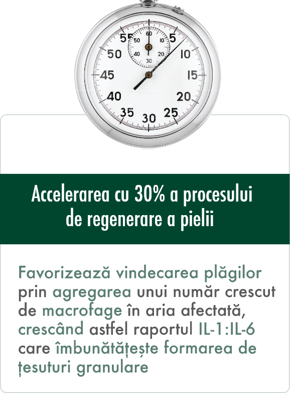 Accelerarea cu 30% a procesului
de regenerare a pielii 