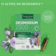 Desmodium 2500 Phyto, 20 fiole x 10 ml, Santarome 590096