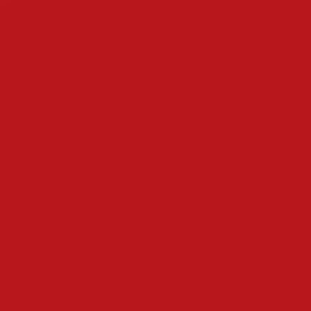 Lac de unghii Scarlet Red NutriColor, 10.5 ml, Andreia Professional 665404