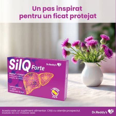 SilQ Forte, 15 capsule, Dr. Reddys 655020