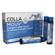 Collamouv, 14 fiole x 25 ml, Bayerische Heilmittel Wissenschaften 742908