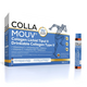Collamouv, 14 fiole x 25 ml, Bayerische Heilmittel Wissenschaften 742861