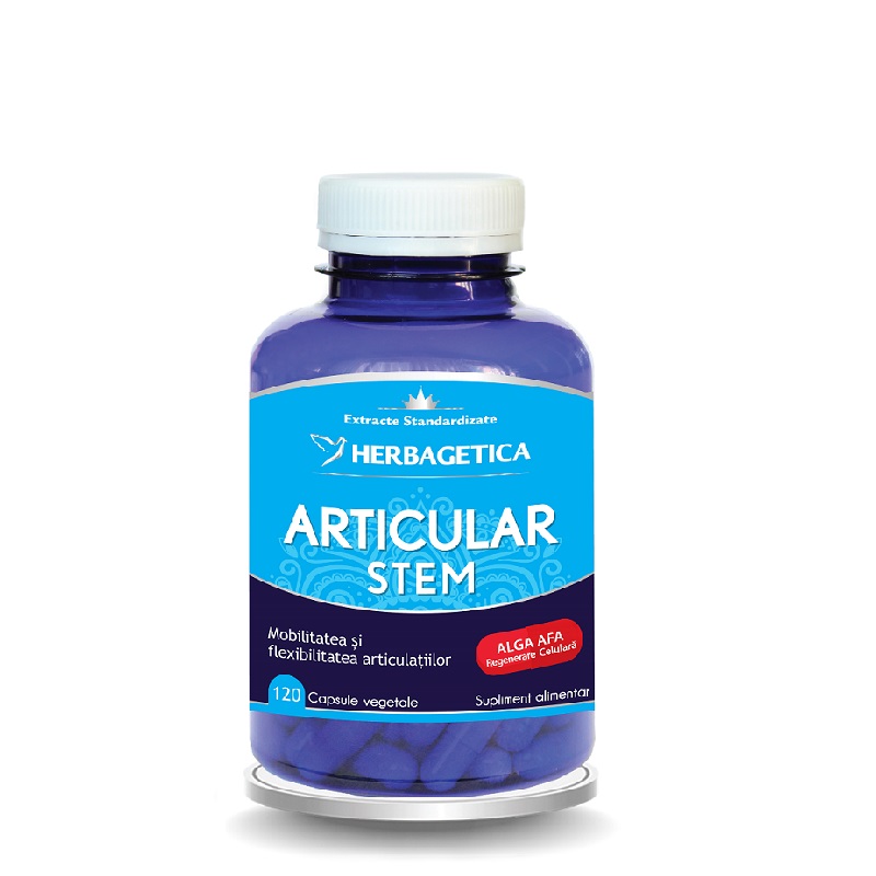 Articular Stem, 120 capsule, Herbagetica