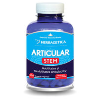 Articular Stem, 120 capsule, Herbagetica