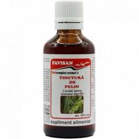 Tinctura de Pelin, 50 ml, Favisan