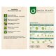 Ceai Glicemonorm Forte, 50 g, Dacia Plant 738732