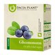 Ceai Glicemonorm, 50 g, Dacia Plant 738726