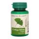 Ginkgo Biloba, 60 comprimate, Dacia Plant 593734