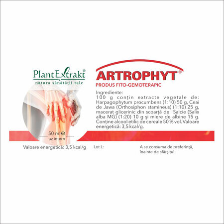 Solutie Artrophyt, 50 ml, Plant Extrakt 732283