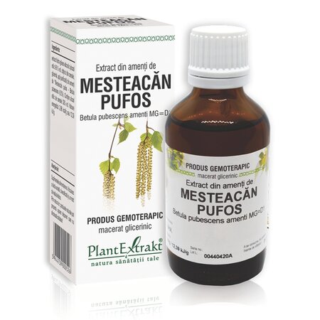 Extract din amenti de mesteacan pufos, 50 ml, Plant Extrakt