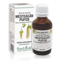 Extract din amenti de mesteacan pufos, 50 ml, Plant Extrakt