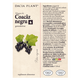 Muguri de Coacaz Negru, 50 ml, Dacia Plant 593204