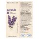 Tinctura de lavanda, 50 ml, Dacia Plant 593254