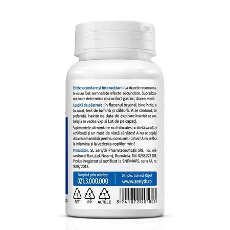MSM, 500 mg, 60 capsule, Zenyth 619314