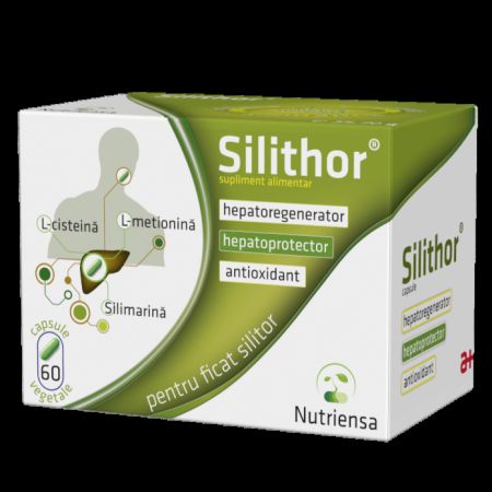 Silithor, 60 capsule, Antibiotice SA
