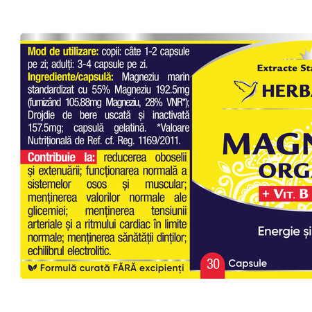 Magneziu Organic cu Vitamina B complex, 30 capsule, Herbagetica 688788