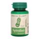 Spirulina, 60 comprimate, Dacia Plant 593674