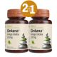 Pachet Ginkana Ginkgo Biloba 120 mg, 30+30 comprimate, Alevia 655847