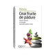 Ceai fructe de padure, 20 plicuri, Alevia 618953