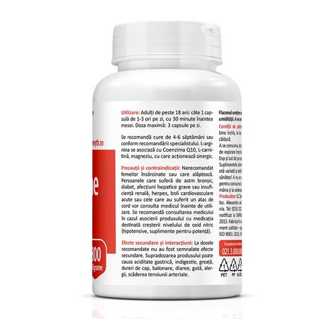 L-Arginine, 60 capsule, Zenyth 622893