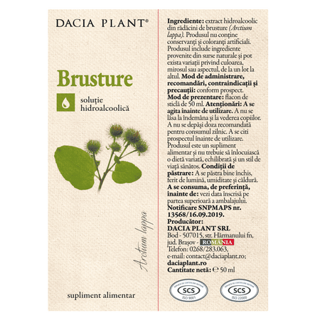 Tinctura de Brusture, 50 ml, Dacia Plant 593222