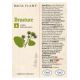 Tinctura de Brusture, 50 ml, Dacia Plant 593222