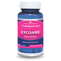 Cicoare extract, 60 capsule, Herbagetica