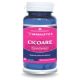 Cicoare extract, 60 capsule, Herbagetica 688487