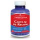 Cartilaj de Rechin, 120 capsule, Herbagetica 688534