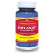Inflanat Curcumin 95, 60 capsule, Herbagetica 688623