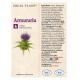 Tinctura de Armurariu, 50 ml, Dacia Plant 593342