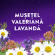 Melatonina, 30 jeleuri, ZzzQuil Natura 748357