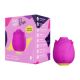 Vibrator Rose, Romp 655094
