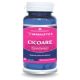 Cicoare extract, 30 capsule, Herbagetica 688181