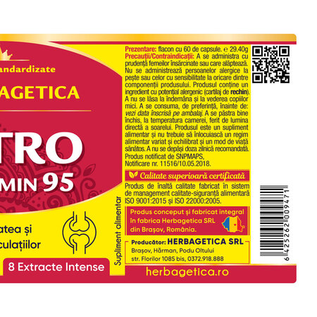 Artro Curcumin 95, 60 capsule, Herbagetica 688594