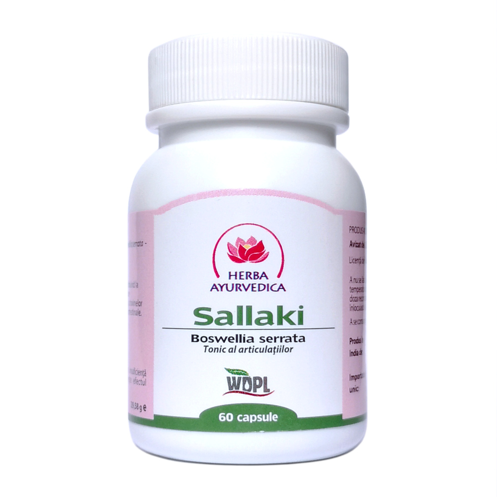 Sallaki, 60 capsule, Herba Ayurvedica