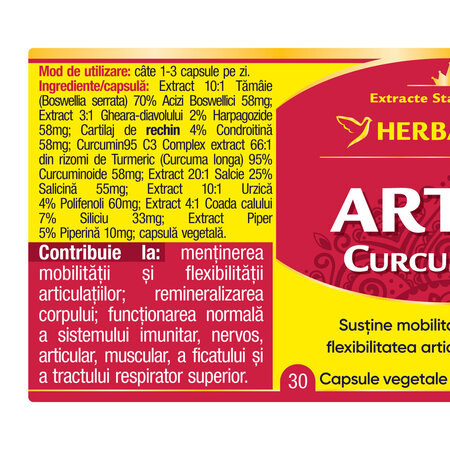 Artro Curcumin 95, 30 capsule, Herbagetica 688592