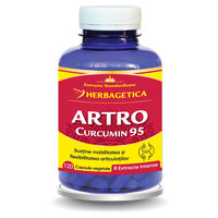 Artro Curcumin 95, 120 capsule vegetale, Herbagetica