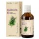 Tinctura de Rozmarin, 50 ml, Dacia Plant 593293