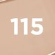 Fond de ten mat cu SPF 25 Infaillible 32H Matte Cover, 115 Warm Undertone, 30 ml, LOreal 555397
